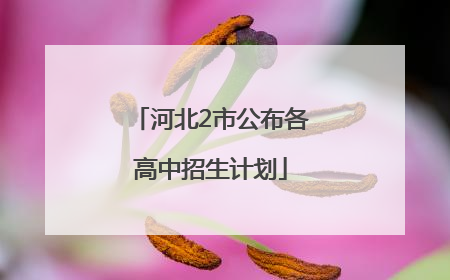 河北2市公布各高中招生计划