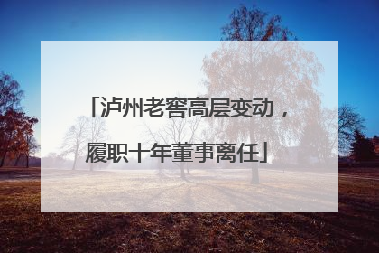 泸州老窖高层变动，履职十年董事离任