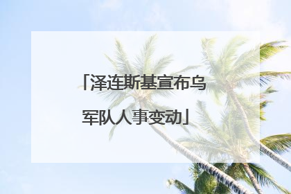 泽连斯基宣布乌军队人事变动