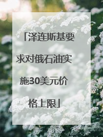 泽连斯基要求对俄石油实施30美元价格上限