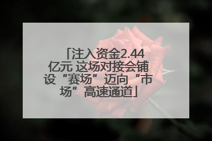 注入资金2.44亿元 这场对接会铺设“赛场”迈向“市场”高速通道