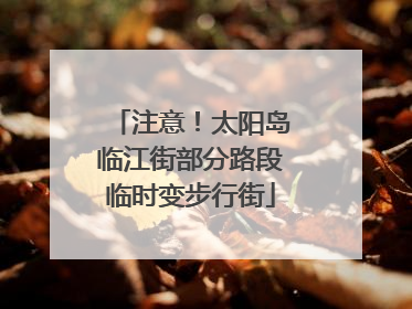 注意！太阳岛临江街部分路段临时变步行街