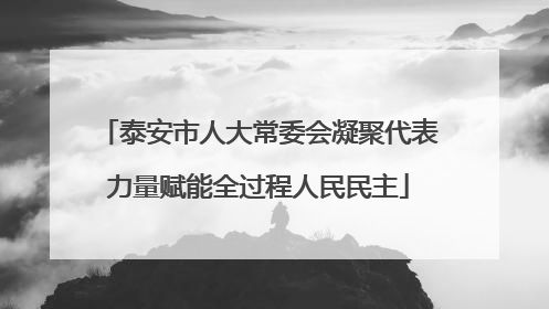 泰安市人大常委会凝聚代表力量赋能全过程人民民主