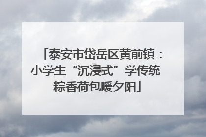 泰安市岱岳区黄前镇：小学生“沉浸式”学传统 粽香荷包暖夕阳