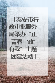 泰安市行政审批服务局举办“正青春‘政’有我”主题团建活动