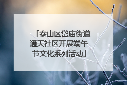 泰山区岱庙街道通天社区开展端午节文化系列活动