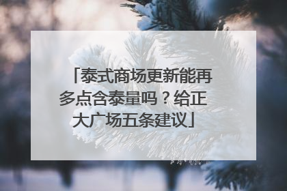 泰式商场更新能再多点含泰量吗？给正大广场五条建议