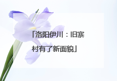 洛阳伊川：旧寨村有了新面貌