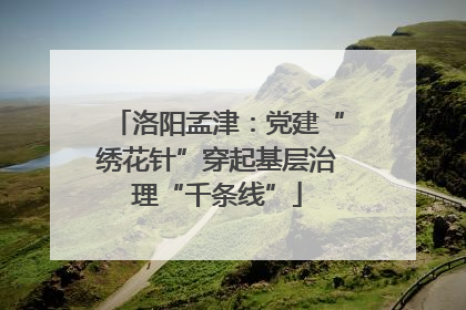 洛阳孟津：党建“绣花针”穿起基层治理“千条线”
