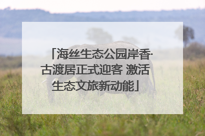 海丝生态公园岸香·古渡居正式迎客 激活生态文旅新动能