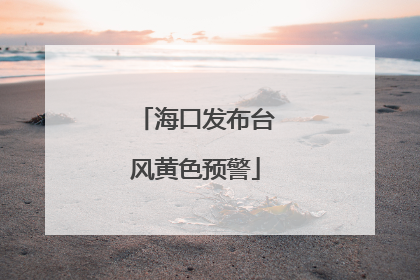 海口发布台风黄色预警