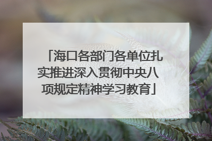 海口各部门各单位扎实推进深入贯彻中央八项规定精神学习教育
