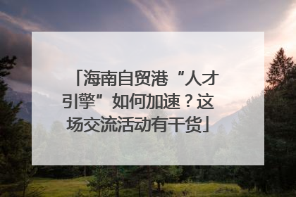 海南自贸港“人才引擎”如何加速？这场交流活动有干货