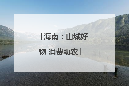 海南：山城好物 消费助农