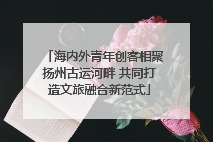 海内外青年创客相聚扬州古运河畔 共同打造文旅融合新范式