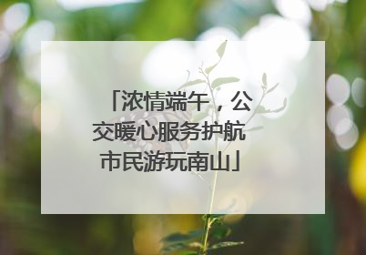 浓情端午，公交暖心服务护航市民游玩南山