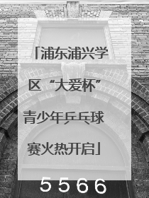 浦东浦兴学区“大爱杯”青少年乒乓球赛火热开启