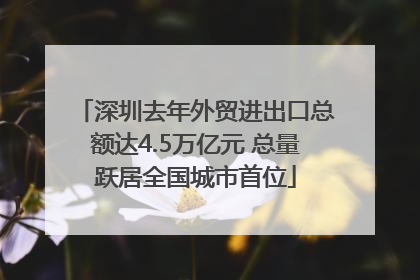 深圳去年外贸进出口总额达4.5万亿元 总量跃居全国城市首位