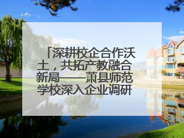 深耕校企合作沃土，共拓产教融合新局——萧县师范学校深入企业调研推动协同发展