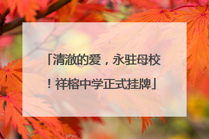 清澈的爱，永驻母校！祥榕中学正式挂牌