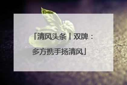 清风头条丨双牌：多方携手扬清风