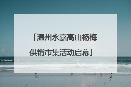 温州永嘉高山杨梅供销市集活动启幕