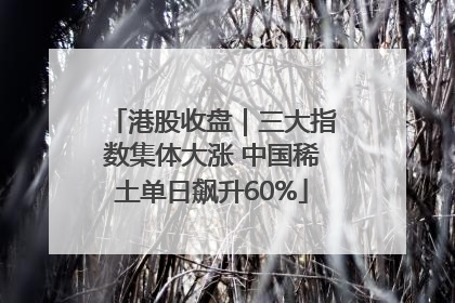 港股收盘｜三大指数集体大涨 中国稀土单日飙升60%