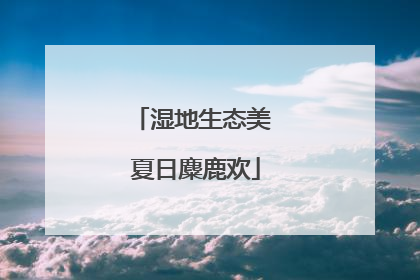 湿地生态美 夏日麋鹿欢