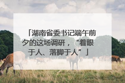 湖南省委书记端午前夕的这场调研，“着眼于人、落脚于人”