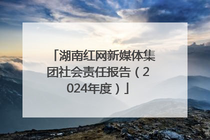 湖南红网新媒体集团社会责任报告（2024年度）