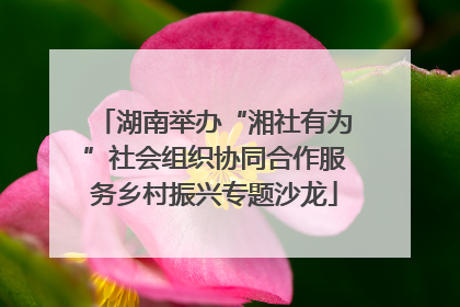 湖南举办“湘社有为”社会组织协同合作服务乡村振兴专题沙龙