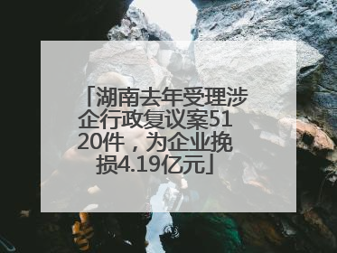 湖南去年受理涉企行政复议案5120件，为企业挽损4.19亿元
