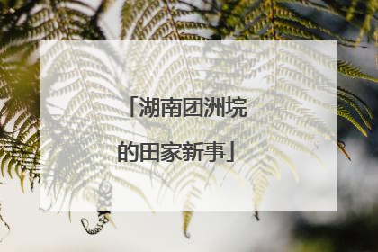 湖南团洲垸的田家新事