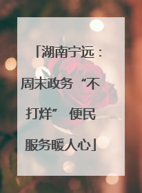 湖南宁远：周末政务“不打烊” 便民服务暖人心