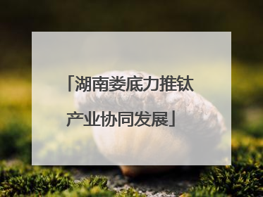 湖南娄底力推钛产业协同发展
