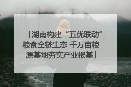 湖南构建“五优联动”粮食全链生态 千万亩粮源基地夯实产业根基