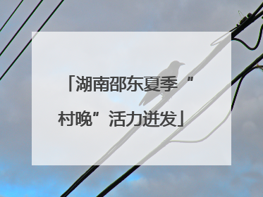 湖南邵东夏季“村晚”活力迸发