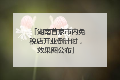 湖南首家市内免税店开业倒计时，效果图公布