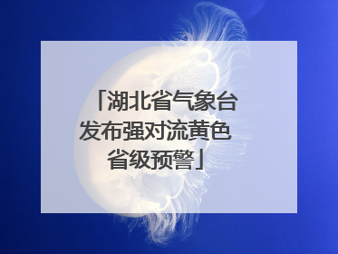 湖北省气象台发布强对流黄色省级预警