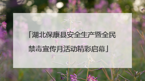 湖北保康县安全生产暨全民禁毒宣传月活动精彩启幕