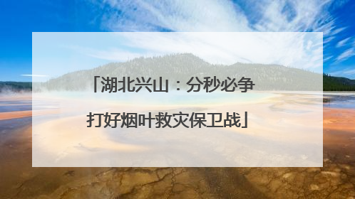 湖北兴山：分秒必争 打好烟叶救灾保卫战