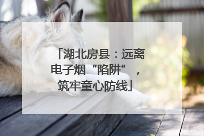 湖北房县：远离电子烟“陷阱”，筑牢童心防线