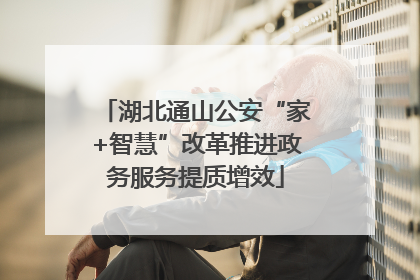 湖北通山公安“家+智慧”改革推进政务服务提质增效
