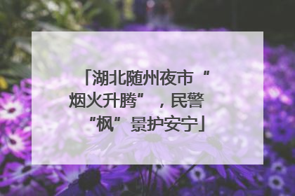 湖北随州夜市“烟火升腾”，民警“枫”景护安宁