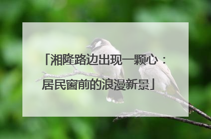 湘隆路边出现一颗心：居民窗前的浪漫新景