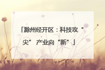 滁州经开区：科技攻“尖” 产业向“新”