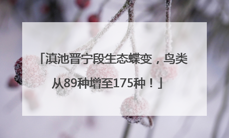 滇池晋宁段生态蝶变，鸟类从89种增至175种！