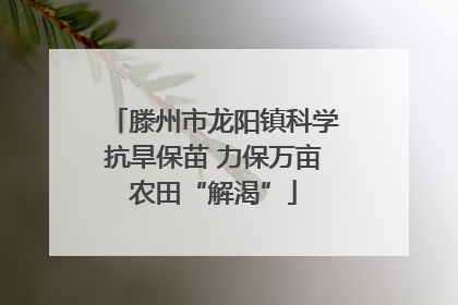滕州市龙阳镇科学抗旱保苗 力保万亩农田“解渴”
