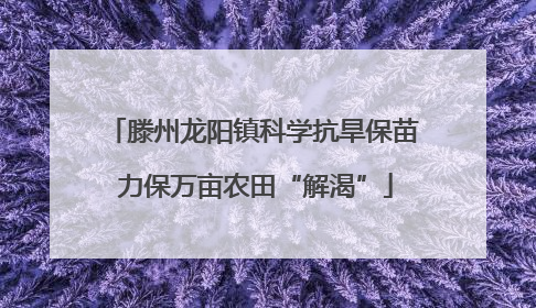 滕州龙阳镇科学抗旱保苗 力保万亩农田“解渴”