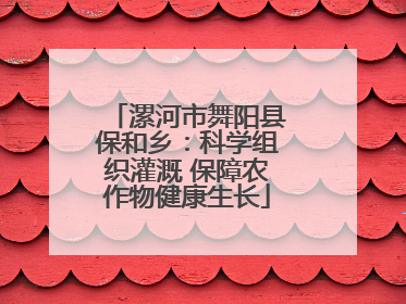 漯河市舞阳县保和乡：科学组织灌溉 保障农作物健康生长